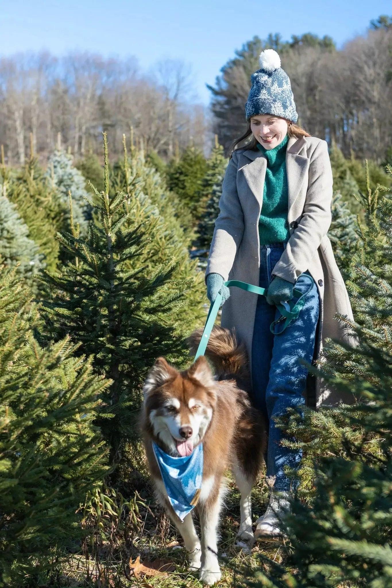 Siberian Spruce Dog Bandana - Southlake Paws