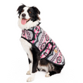 Load image into Gallery viewer, Sienna Dog Blanket Coat

