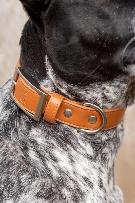 Sierra Sunrise Vegan Leather Dog Collar - Southlake Paws