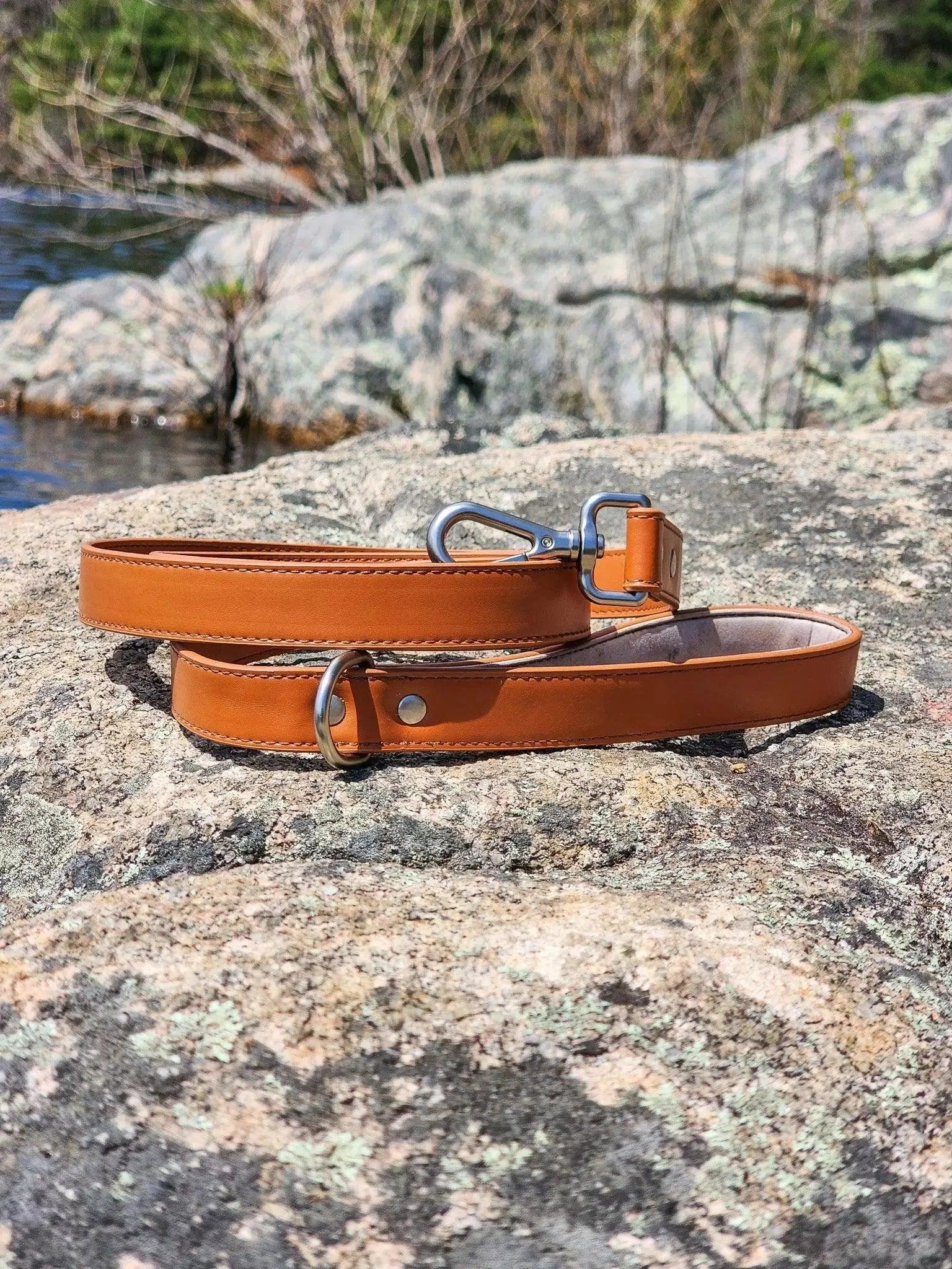 Sierra Sunrise Vegan Leather Dog Leash - Southlake Paws