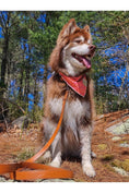 Load image into Gallery viewer, Sierra Sunrise Vegan Leather Dog Leash - Southlake Paws
