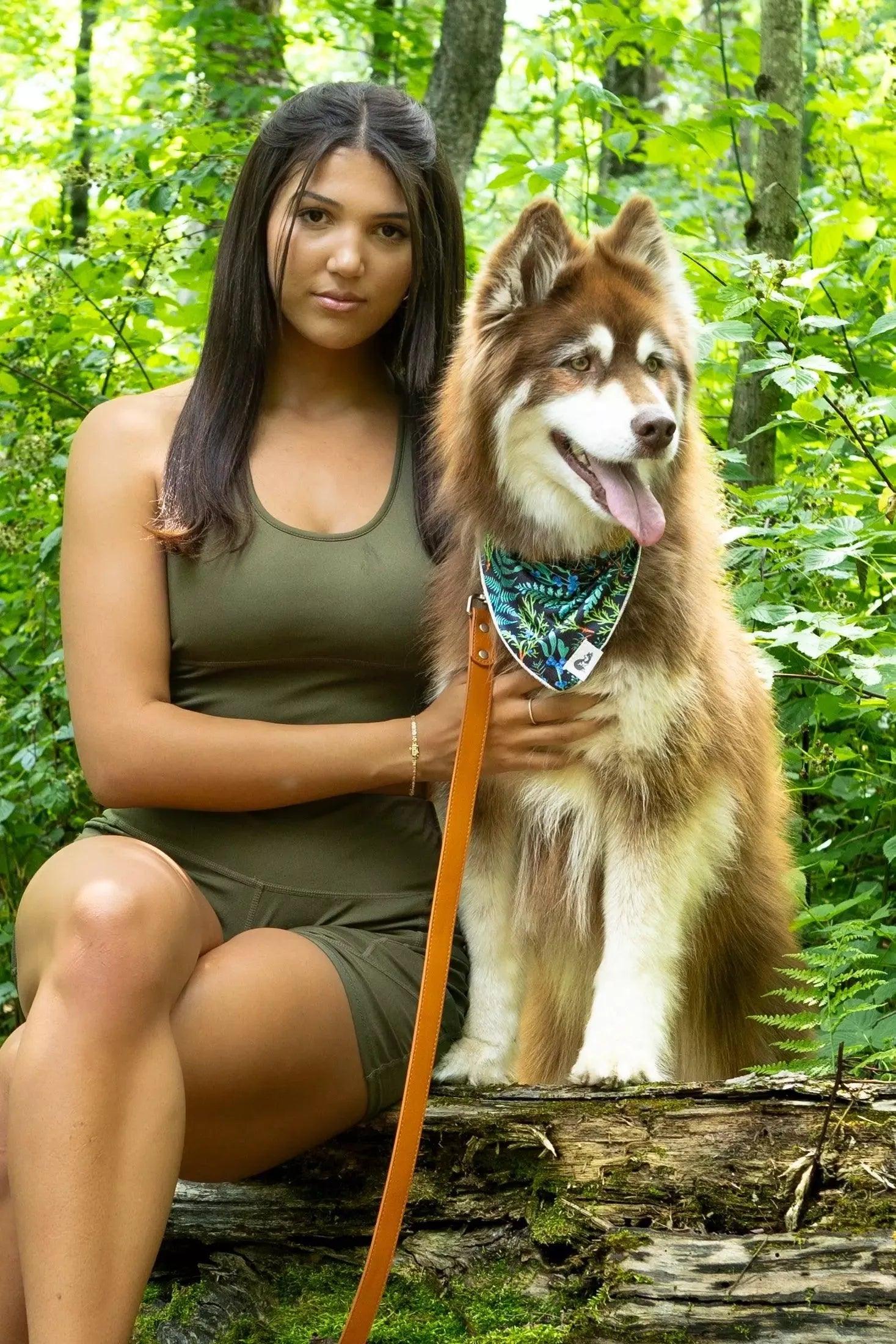 Sierra Sunrise Vegan Leather Dog Leash - Southlake Paws