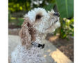 Load image into Gallery viewer, Fishtail Hand Braided Dog Collar in Black & Smoke - Southlake Paws
