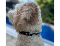 Load image into Gallery viewer, Fishtail Hand Braided Dog Collar in Black & Smoke - Southlake Paws
