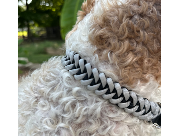 Fishtail Hand Braided Dog Collar in Black & Smoke - Southlake Paws