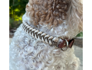 Fishtail Hand Braided Dog Collar in Tan & Cream