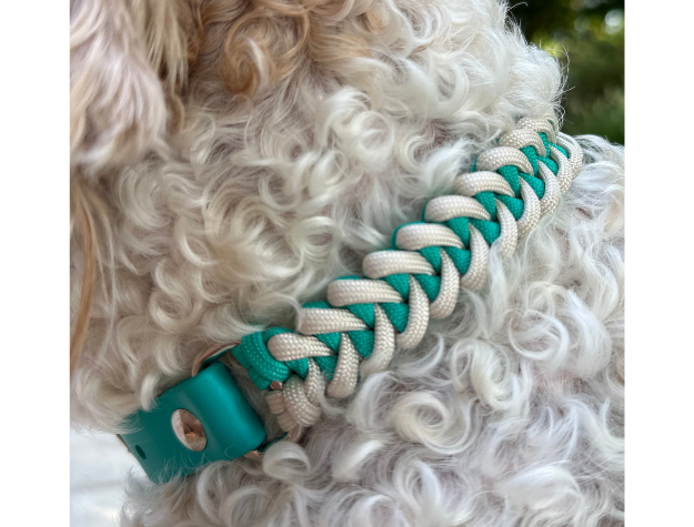 Fishtail Hand Braided Dog Collar in Teal & Cream - Southlake Paws
