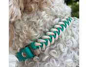 Fishtail Hand Braided Dog Collar in Teal & Cream