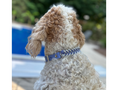 Load image into Gallery viewer, Fishtail Hand Braided Dog Collar in Lavender & Smoke - Southlake Paws
