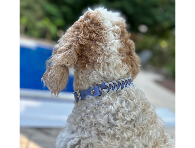 Fishtail Hand Braided Dog Collar in Lavender & Smoke - Southlake Paws