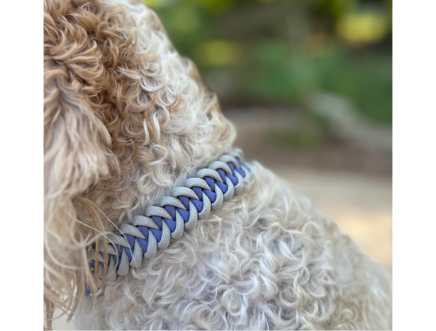Fishtail Hand Braided Dog Collar in Lavender & Smoke - Southlake Paws