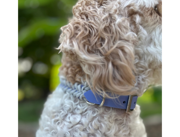 Fishtail Hand Braided Dog Collar in Lavender & Smoke - Southlake Paws