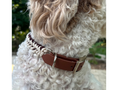 Load image into Gallery viewer, Fishtail Hand Braided Dog Collar in Burgundy & Cream - Southlake Paws
