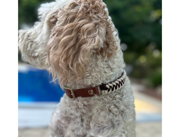 Fishtail Hand Braided Dog Collar in Burgundy & Cream - Southlake Paws