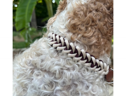 Fishtail Hand Braided Dog Collar in Burgundy & Cream