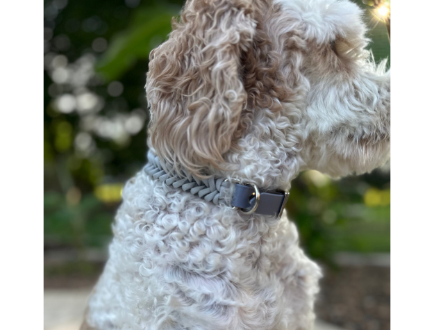 Fishtail Hand Braided Dog Collar in Graphite & Smoke - Southlake Paws