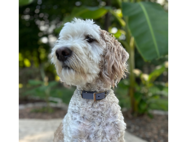 Fishtail Hand Braided Dog Collar in Graphite & Smoke - Southlake Paws