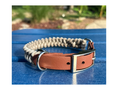 Load image into Gallery viewer, Fishtail Hand Braided Dog Collar in Tan & Cream - Southlake Paws
