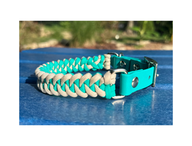 Fishtail Hand Braided Dog Collar in Teal & Cream - Southlake Paws