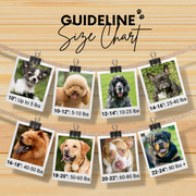 Biarritz Sambboho dog collar