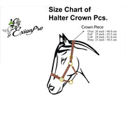 ExionPro Replacement Fancy Stitched Padded Leather Halter Crown Piece