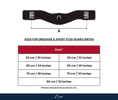 Load image into Gallery viewer, ExionPro Short Stud Guard Girth
