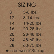 Turquoise Sky Sport Fleece