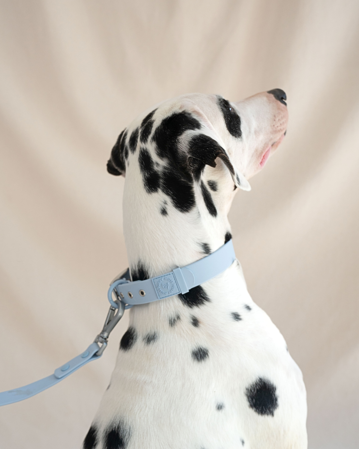 Wander! Waterproof Collar - Sky