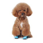 Slip-On Paws