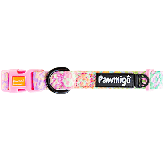 Slumber Pawty Classic Collar - Southlake Paws