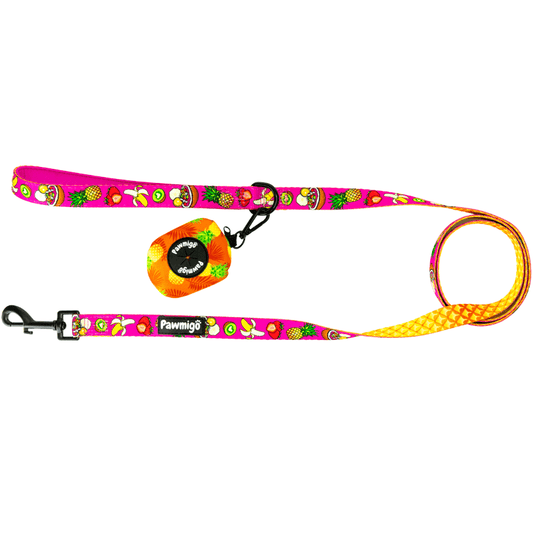 Snack Shack Leash Kit - Southlake Paws