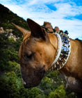 Load image into Gallery viewer, The "Metal" collar White & Gold- personalized!
