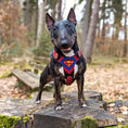 Load image into Gallery viewer, Superdog Harness Medium Size
