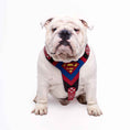 Load image into Gallery viewer, Superdog Harness Medium Size
