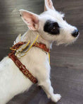 Load image into Gallery viewer, The "Hermes" leather harness - Small to Medium Size
