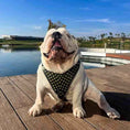Load image into Gallery viewer, The "Gladiator" harness Gold/Silver
