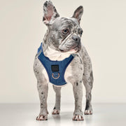 SoHo Dog Harness - Denim 