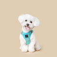 Load image into Gallery viewer, DOGISTRY SoHo Dog Harness - Fifth Avenue
