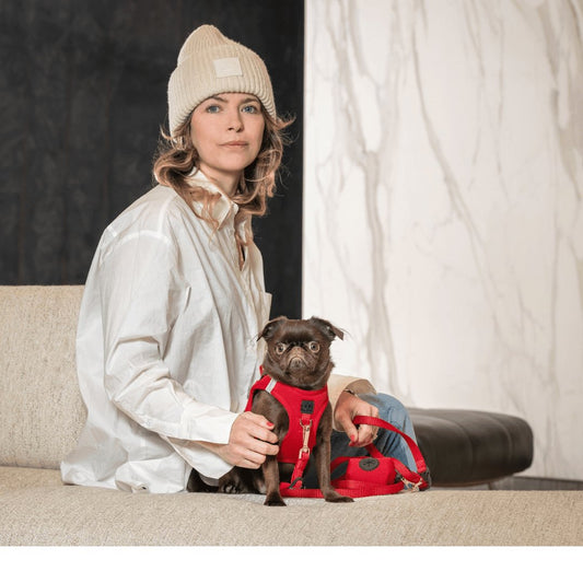 DOGISTRY Poop Bag Holder - Iconic Red