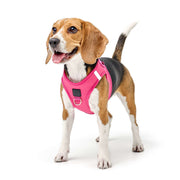 SoHo Dog Harness - Park Ave Pink