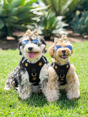 SoHo Dog Harness - Rockstar