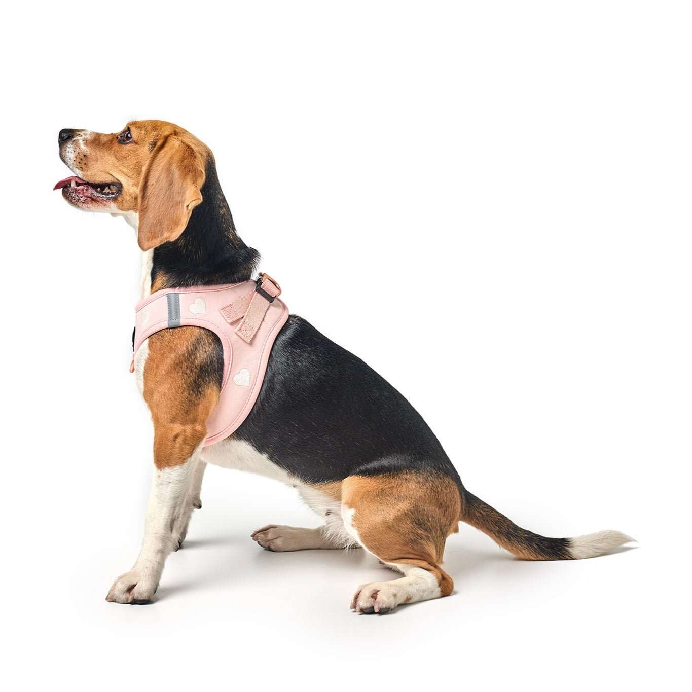 SoHo Dog Harness - Sweetheart