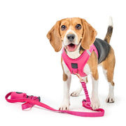 3-in-1 City Dog Leash - Park Ave Pink 