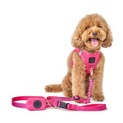 3-in-1 City Dog Leash - Park Ave Pink 