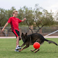 Load image into Gallery viewer, Jolly Soccer Ball Jolly Pets
