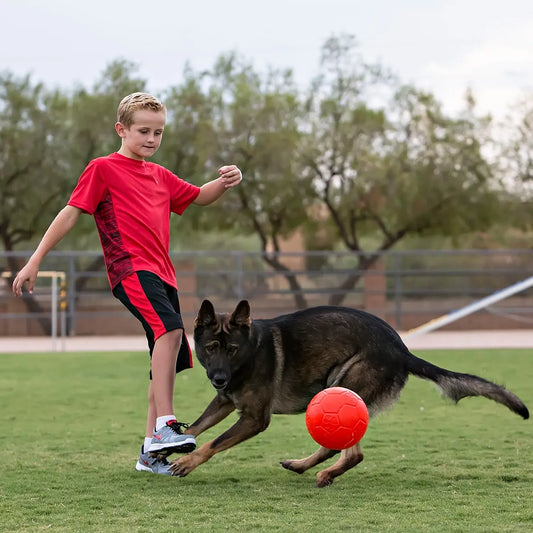Jolly Soccer Ball Jolly Pets