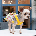 Southern Belle Dress