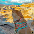 Load image into Gallery viewer, Southwest Spirit Collar
