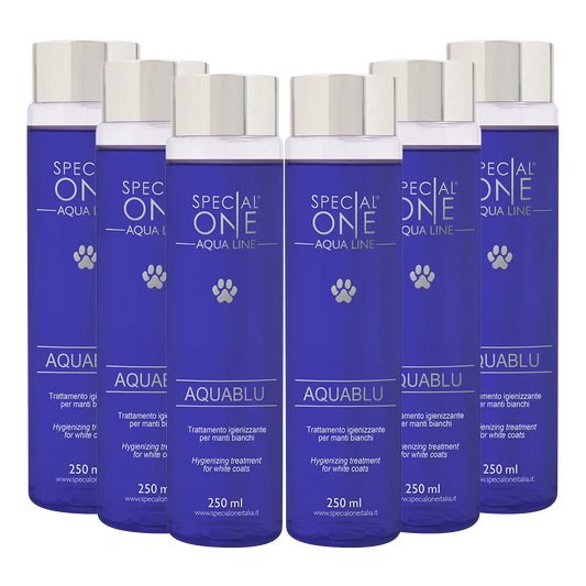 Aquablu Shampoo box of 6 250 ml by Special One