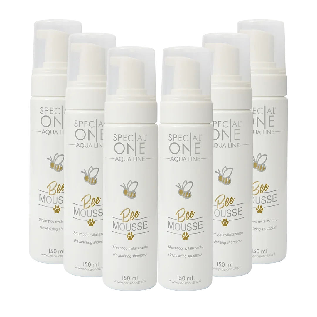 Dog Bee Mousse Shampoo box of 6 150 ml by Special One